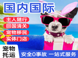 南通兴东空运代理国际宠物托运 【国